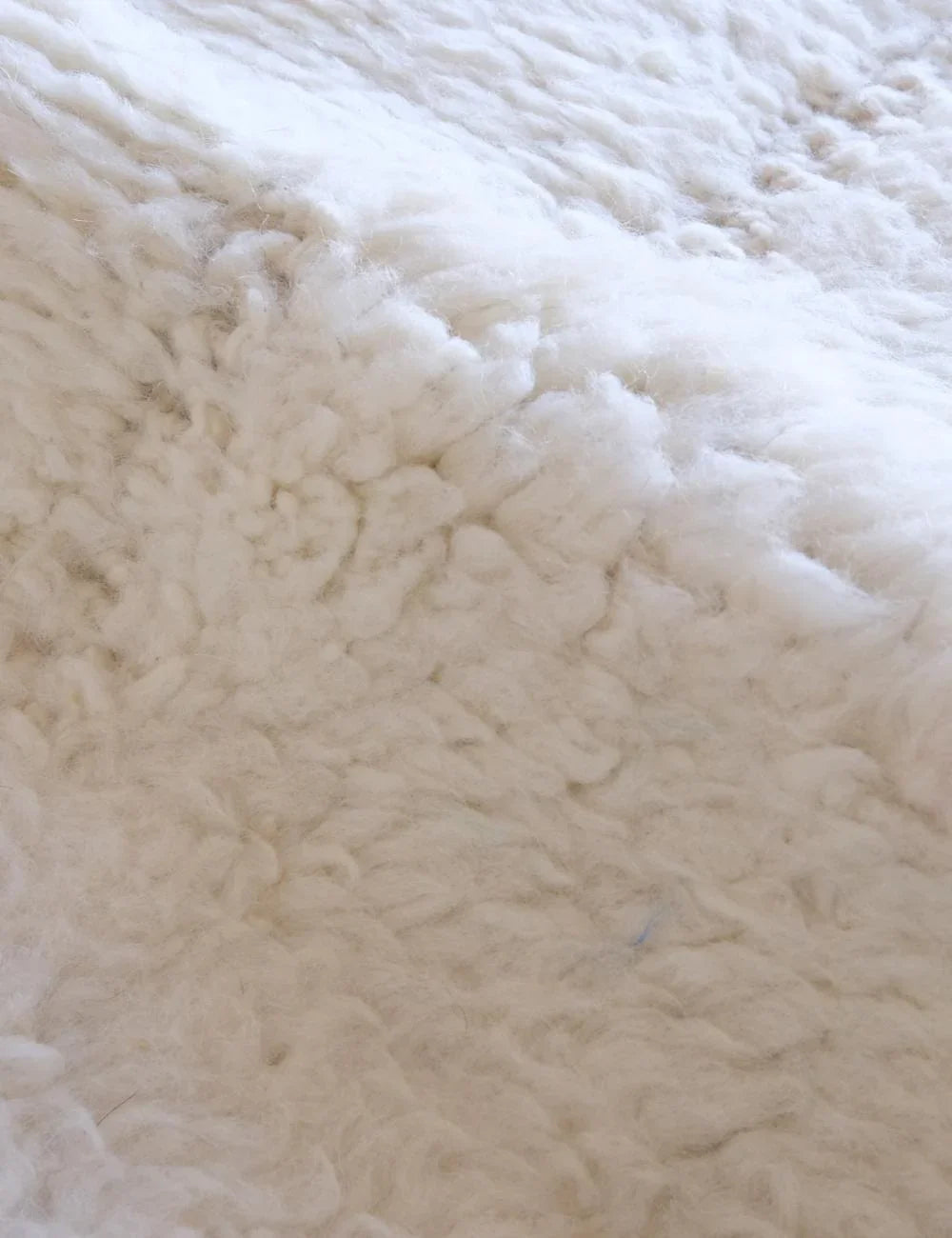 Moroccan Beni Ourain Wool Rug 11.2 x 7.9 ft / 340 x 241 cm - Surcoma