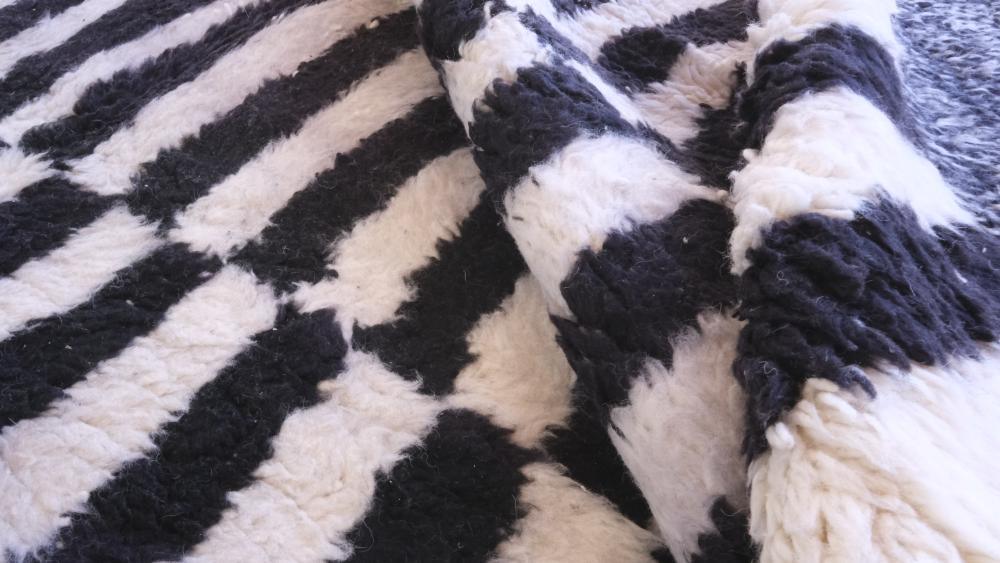 Moroccan Black and White Wool Rug 11.1 x 8.2 ft / 337 x 252 cm - Surcoma