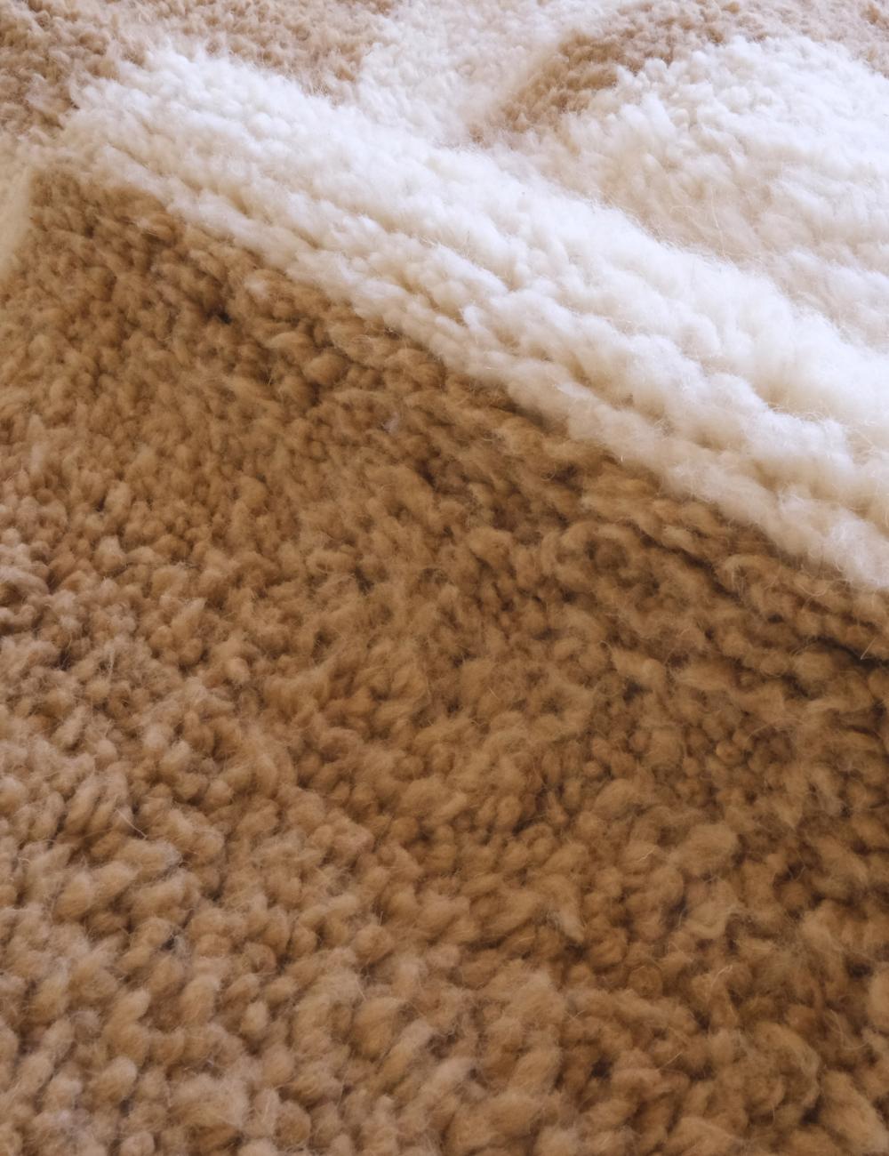 Terracotta Moroccan Wool Rug 11.4 x 8 ft / 346 x 245 cm