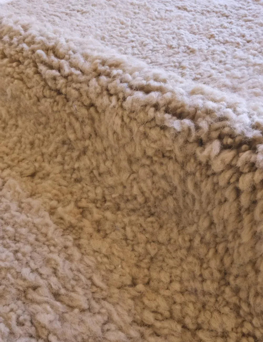 Handwoven Moroccan Tan Wool Rug 11.5 x 8.1 ft / 350 x 248 cm - Surcoma