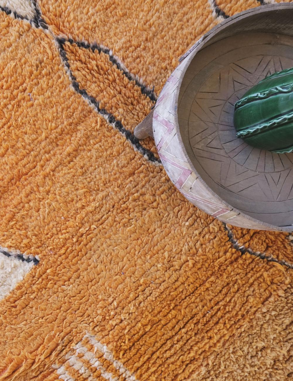Ceramic pot with a cactus on a textured orange rug