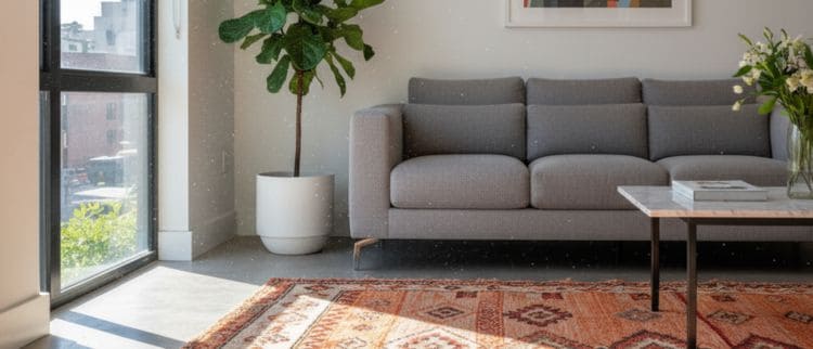 Can Sunlight Damage Moroccan Rugs?