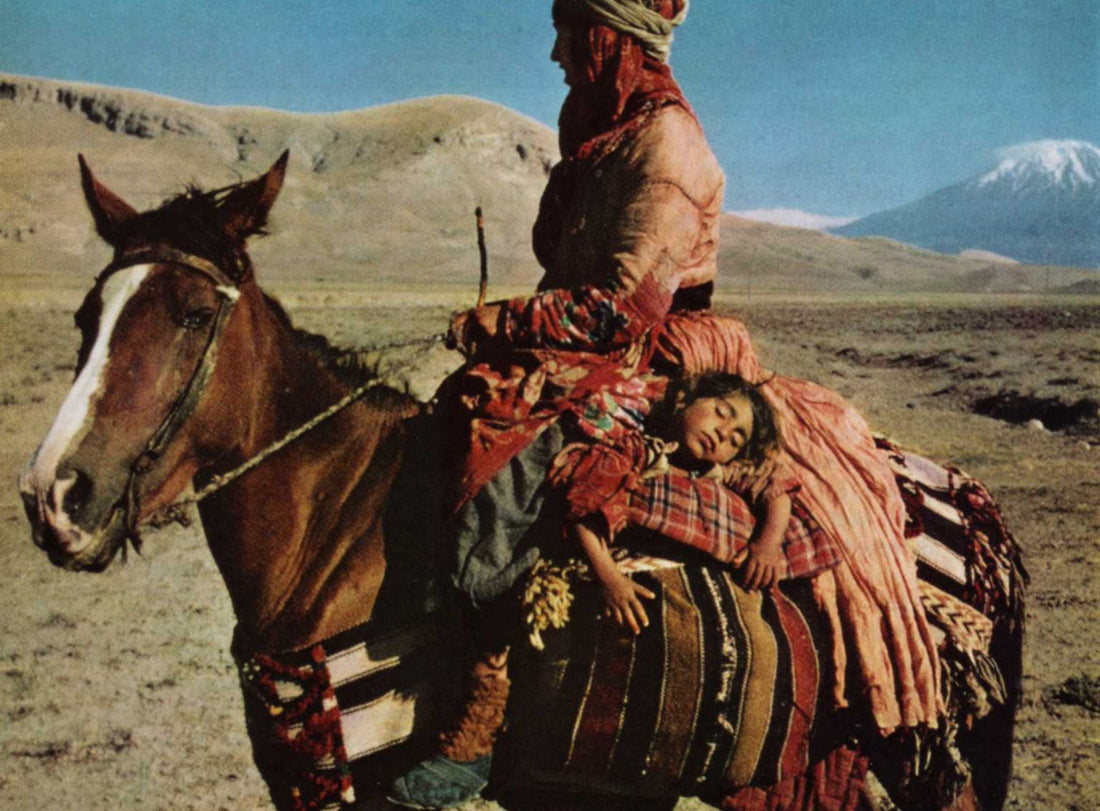 Questions Every Buyer Should Ask About Moroccan Rugs