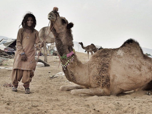 Can Moroccan Rugs Trigger Allergies? What You Need to Know