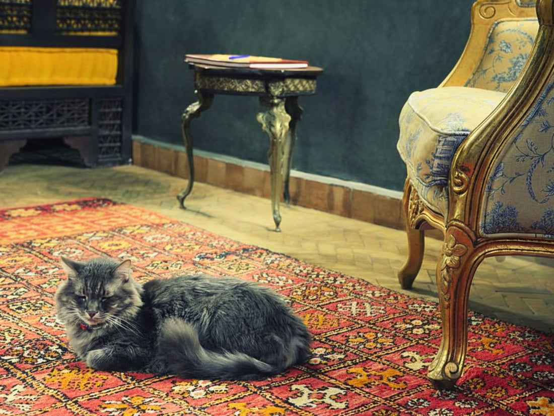 Do Moroccan Rugs Work for Homes With Pets?