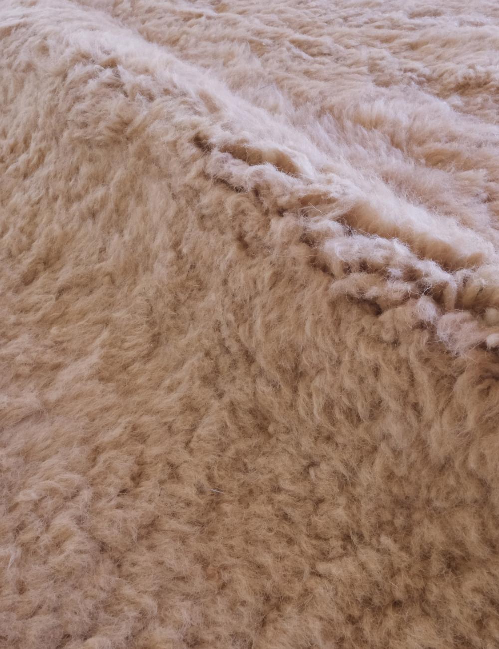 Beige Moroccan Wool Rug 8.8 x 5.4 ft / 267 x 165 cm