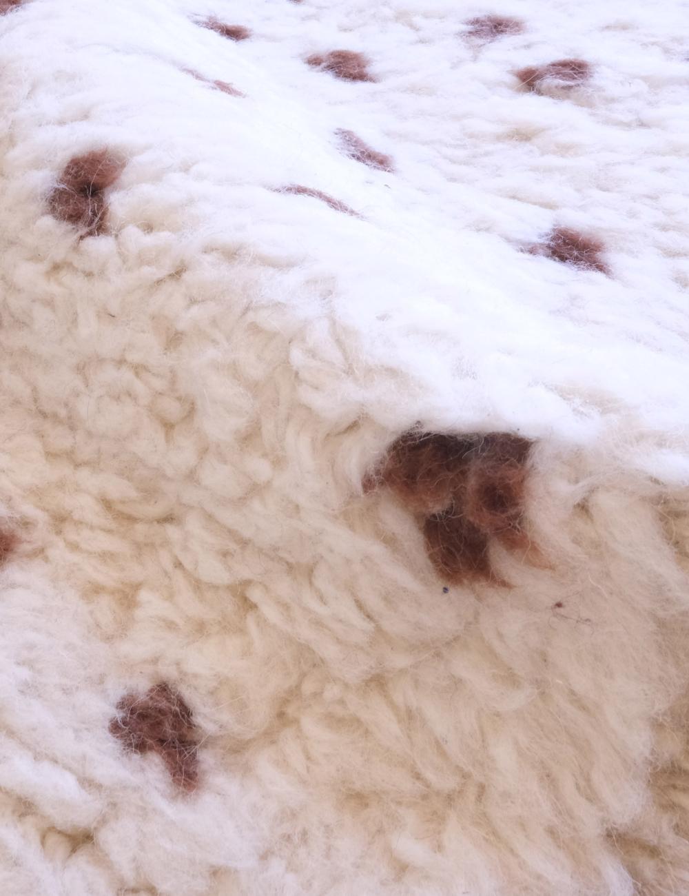 Moroccan Neutral Area Rug 9.3 x 6.8 ft / 282 x 208 cm