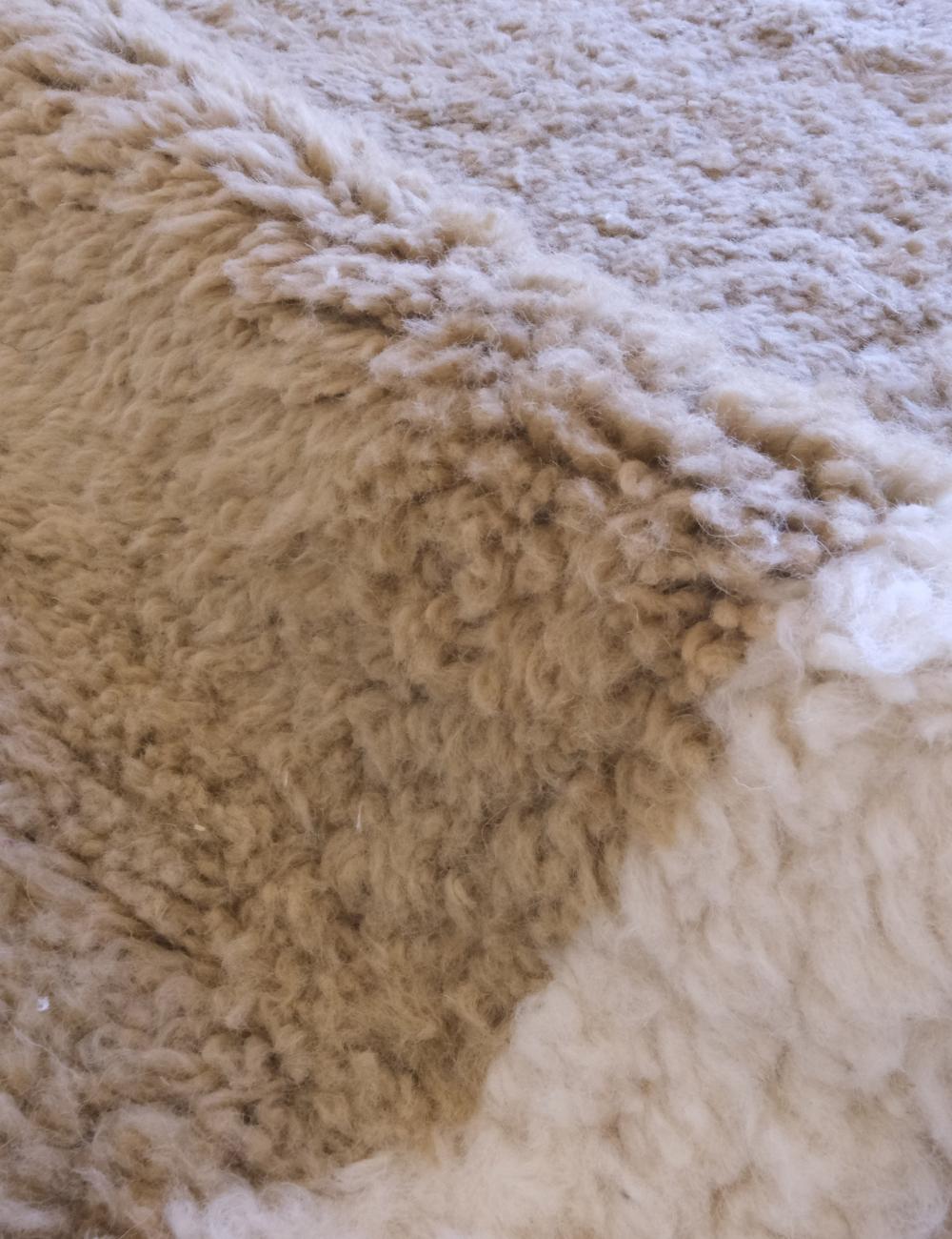Handwoven Moroccan Wool Rug 11.6 x 7.9 ft / 355 x 243 cm