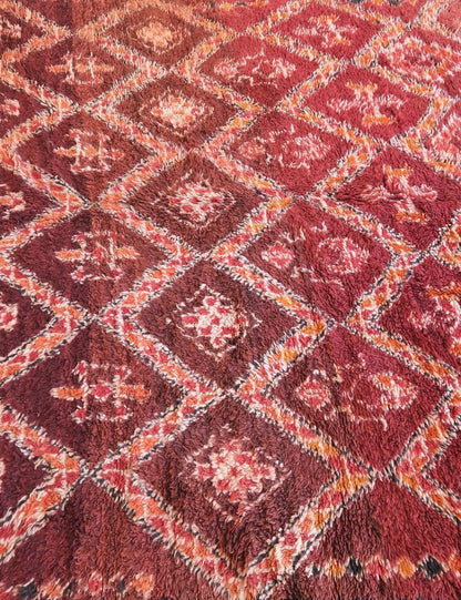 Moroccan Collector Beni MGuild Wool Rug 11.6 x 7 ft / 353 x 214 cm - Surcoma
